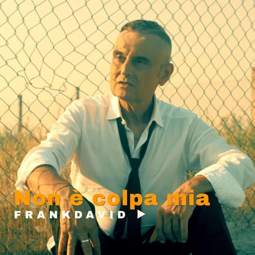 Non è colpa mia - Frank David